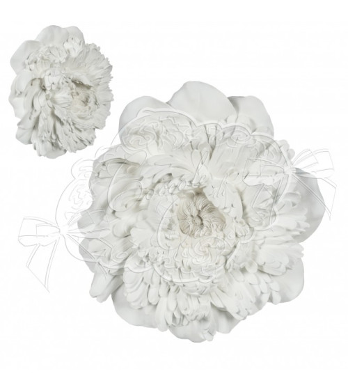 Rosone peonia grande