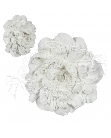 Rosone peonia grande