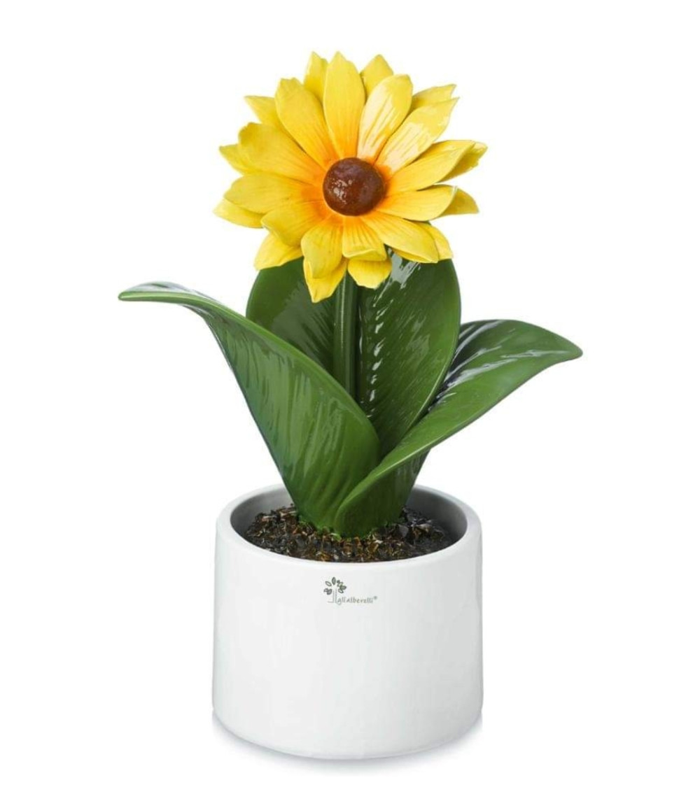 Pianta Girasole