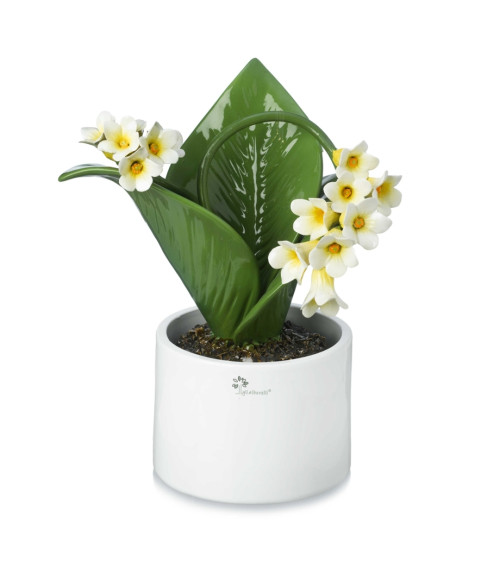 Pianta campanello