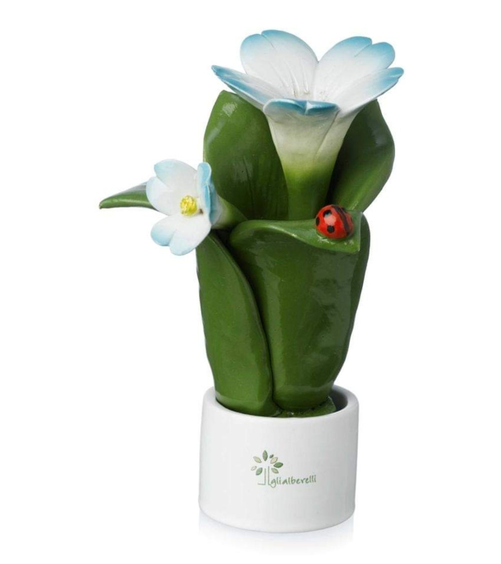 Pianta fiore elleboro