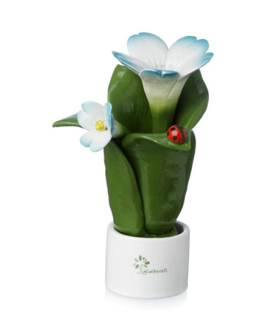 Pianta fiore elleboro