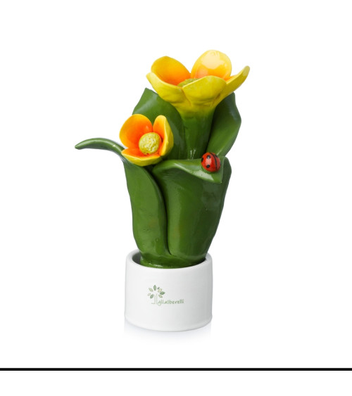 Pianta fiore arancio