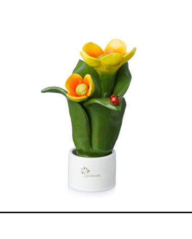 Pianta fiore arancio