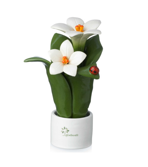 Pianta fiore giglio