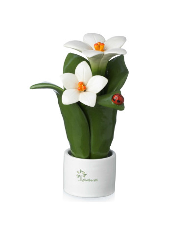 Pianta fiore giglio