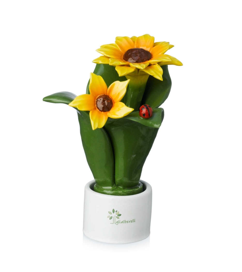 Pianta fiore girasole
