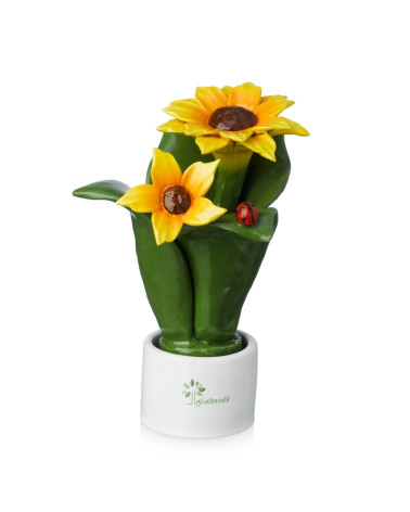 Pianta fiore girasole