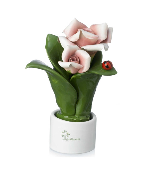 Pianta fiore rosa