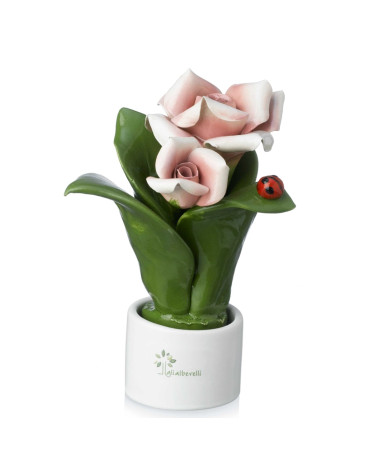 Pianta fiore rosa