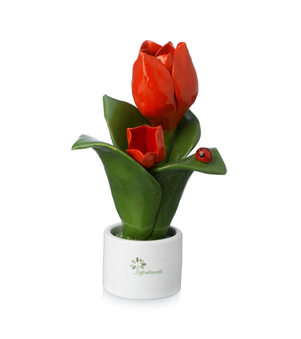 Pianta fiore tulipano