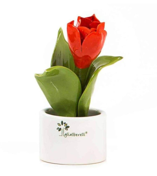 Pianta fiore tulipano