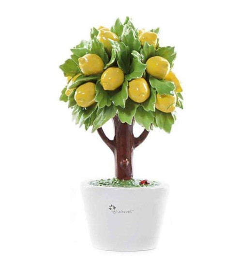 Albero medio limone