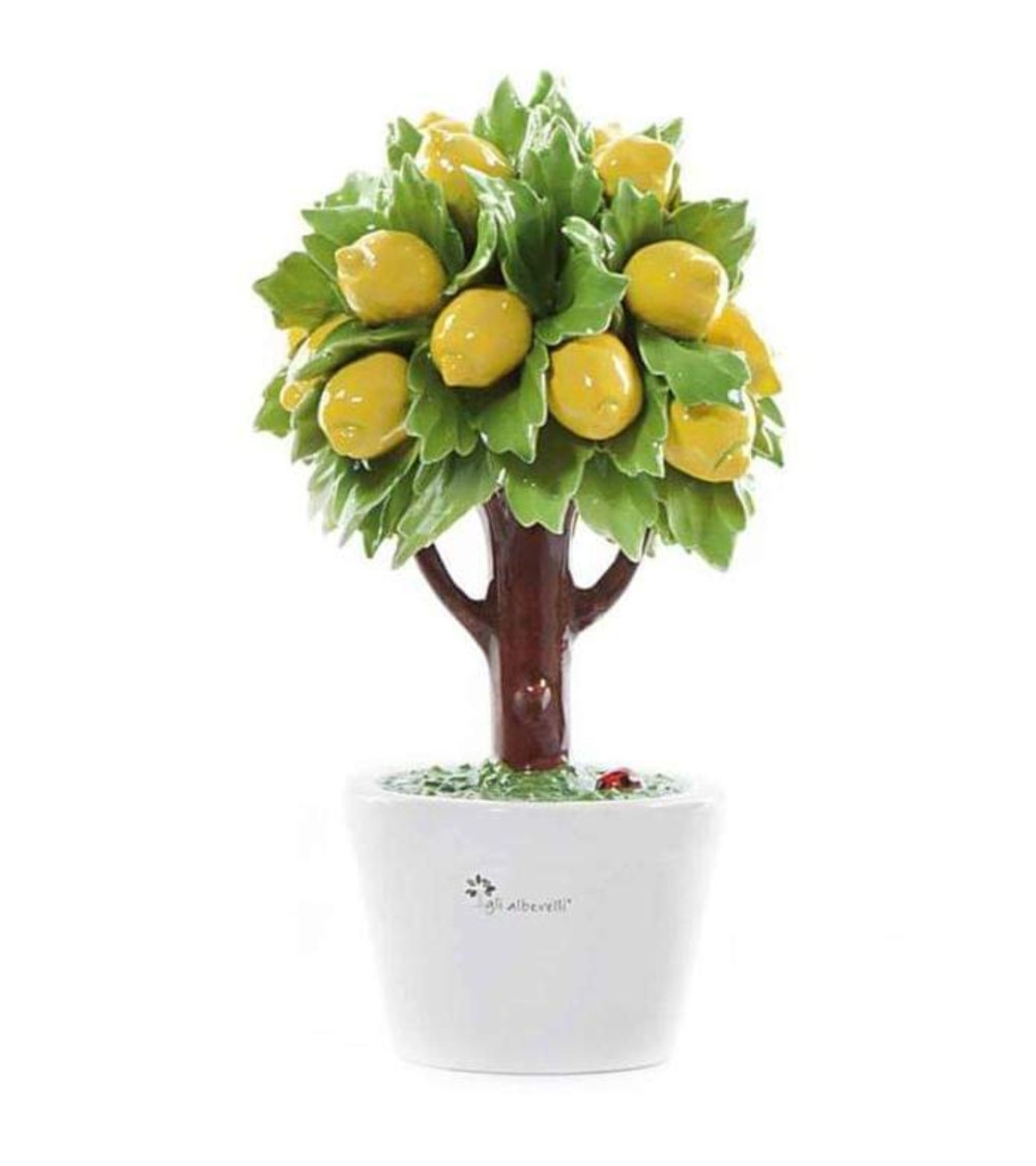 Albero medio limone