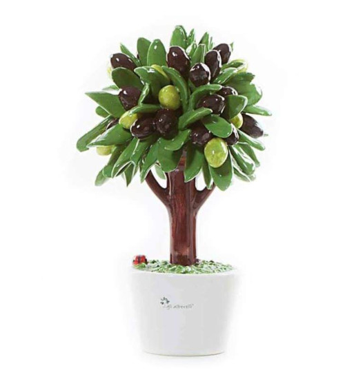 Albero di ulivo medio