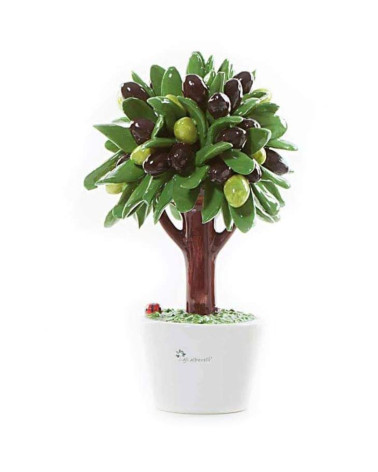 Albero di ulivo medio