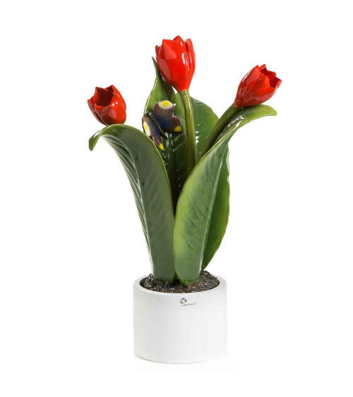 PIANTA TULIPANO GRANDE