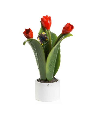 PIANTA TULIPANO GRANDE