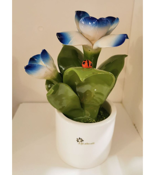 FIORE BLU