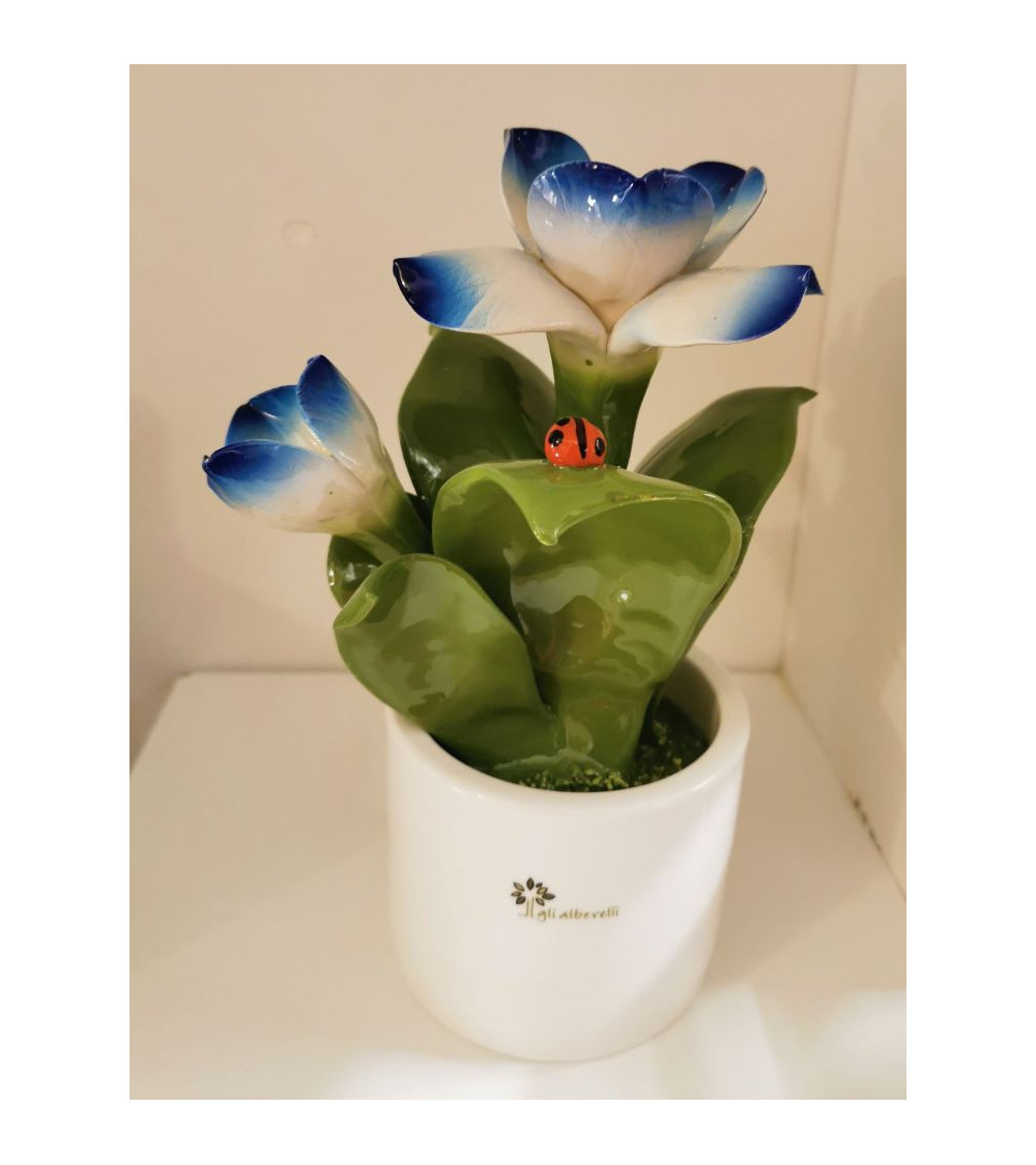 FIORE BLU