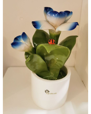 FIORE BLU