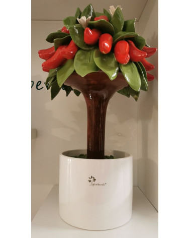 ALBERO PEPERONCINO GRANDE