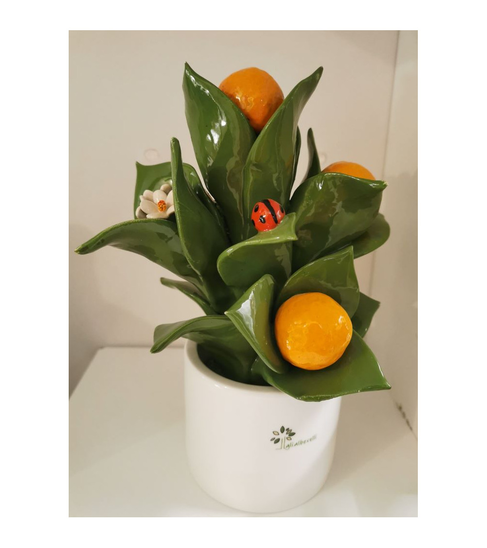 PIANTINA ARANCIO PICCOLA