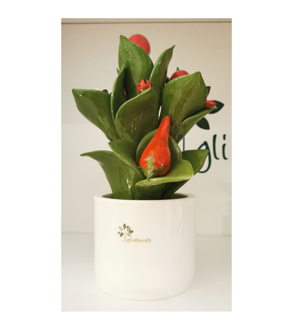 PIANTINA PEPERONCINO