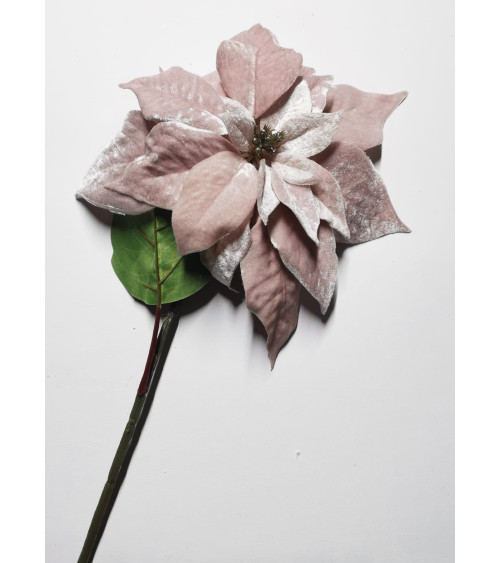 stella di natale vellutata rosa