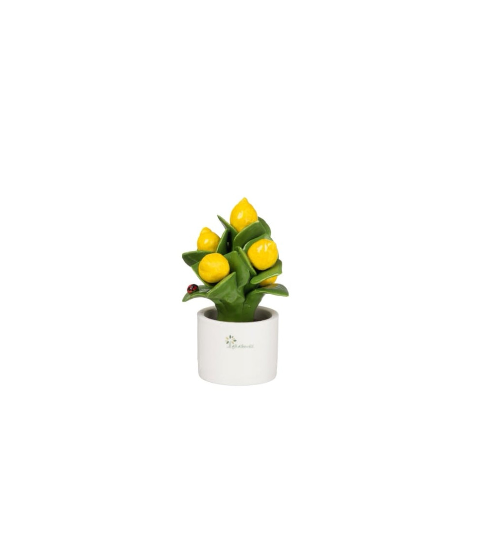 PIANTINA PICCOLA LIMONI