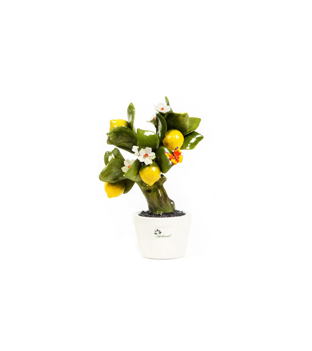 ALBERO LIMONE MEDIO