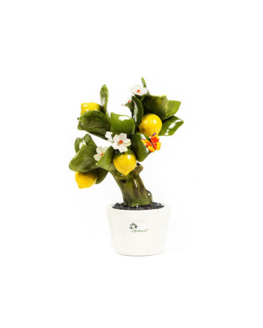 ALBERO LIMONE MEDIO