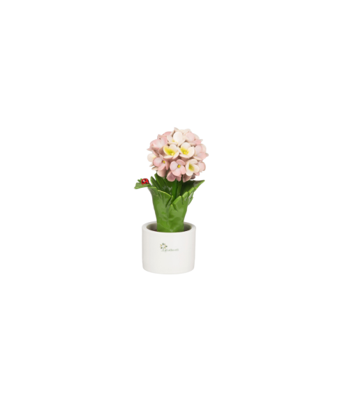 ORTENSIA ROSA