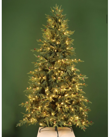 ALBERO CORTINA 210