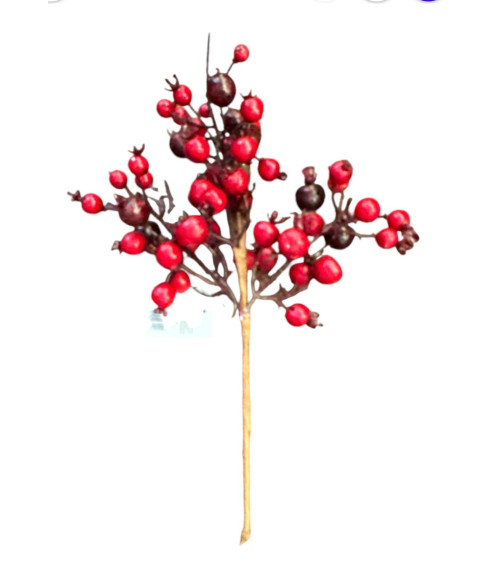 RAMO DI BACCHE ROSSE