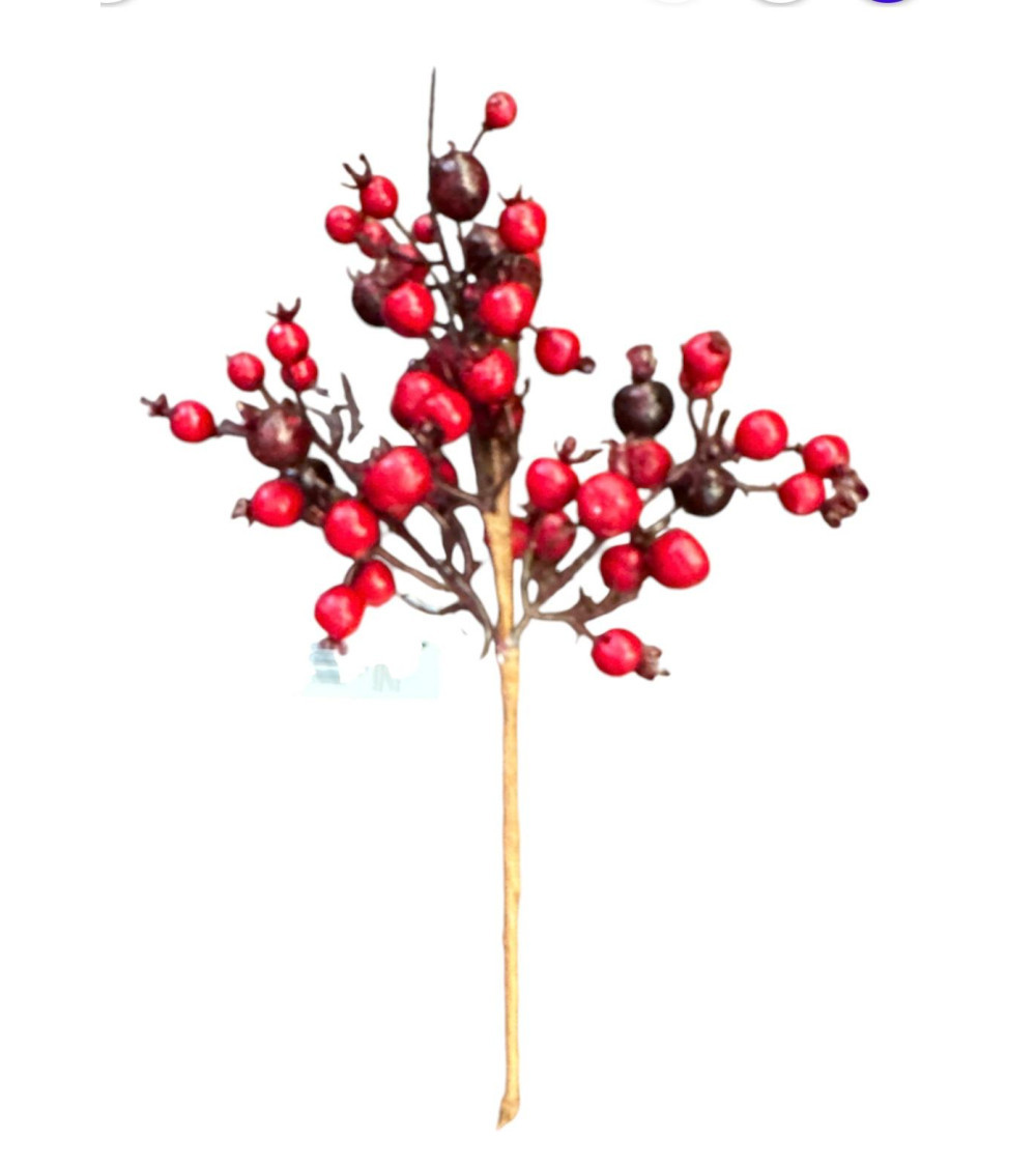 RAMO DI BACCHE ROSSE