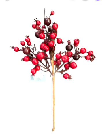 RAMO DI BACCHE ROSSE