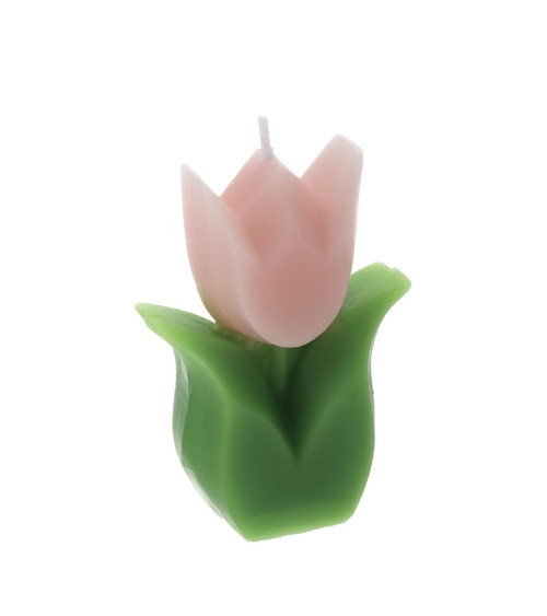 CANDELA TULIPANO ROSA