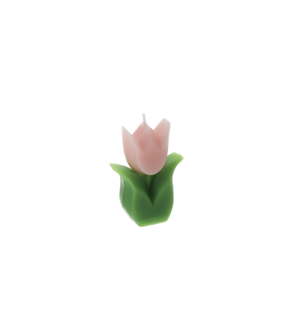 CANDELA TULIPANO ROSA
