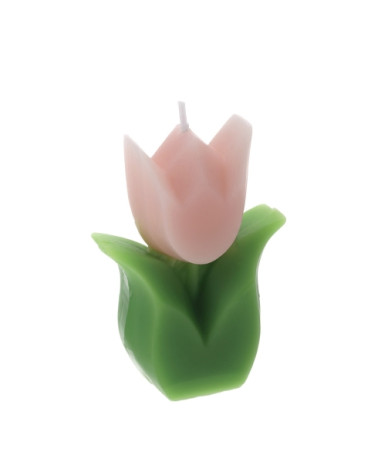 CANDELA TULIPANO ROSA