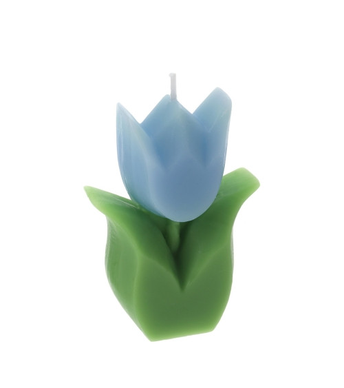 CANDELA TULIPANO BLU