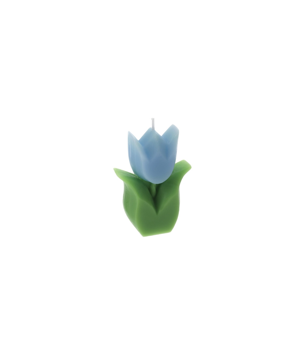 CANDELA TULIPANO BLU