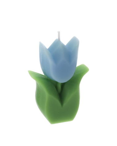 CANDELA TULIPANO BLU