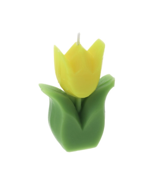 CANDELA TULIPANO GIALLO