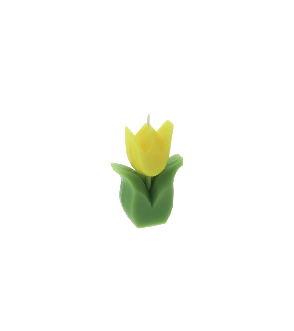 CANDELA TULIPANO GIALLO