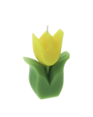 CANDELA TULIPANO GIALLO