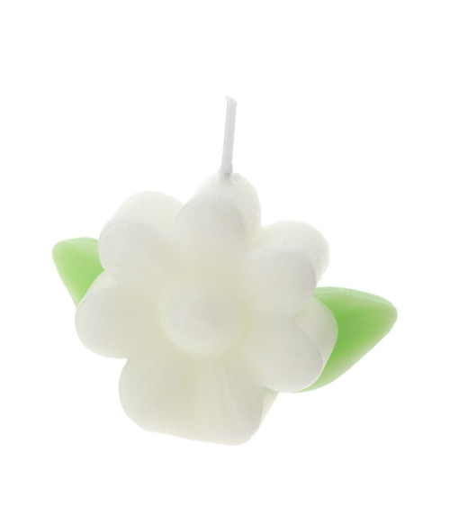 CANDELA FIORE BIANCO