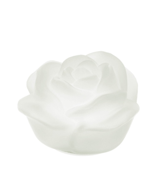 ROSA IN VETRO BIANCO