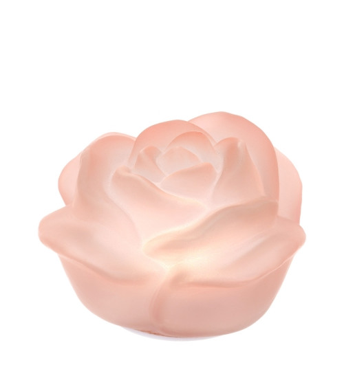ROSA IN VETRO ROSA