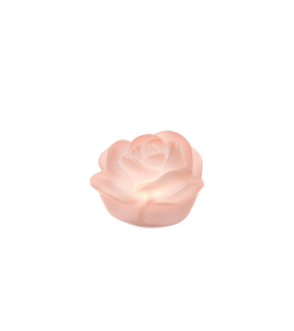 ROSA IN VETRO ROSA